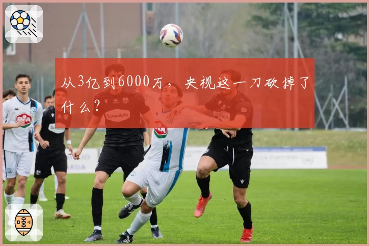 从3亿到6000万，央视这一刀砍掉了什么？