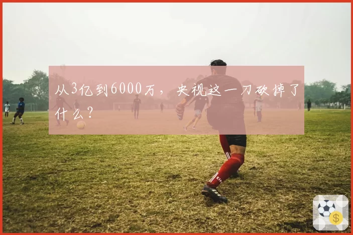 从3亿到6000万，央视这一刀砍掉了什么？