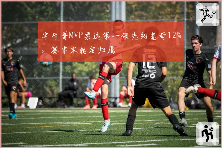 字母哥MVP票选第一领先约基奇12%，赛季末轮定归属