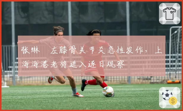 张琳芃左膝骨关节炎急性发作，上海海港老将进入逐日观察